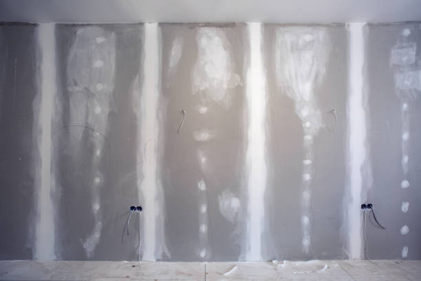 Mold Removal